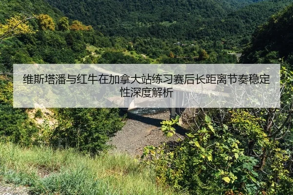 wei-si-ta-pan-yu-hong-niu-zai-jia-na-da-zhan-lian-xi-sai-hou-zhang-ju-li-jie-zou-wen-ding-xing-shen-du-jie-xi-2-938.jpg